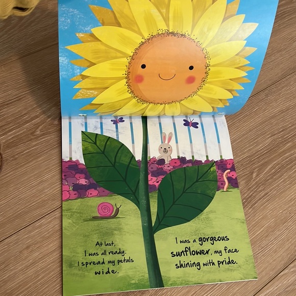 Book Little Sunflower Autumn publishing plants nature - Picture 3 of 5